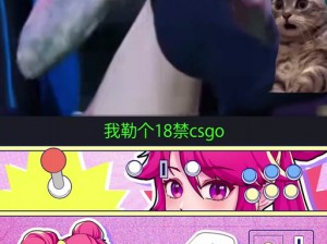 老阿姨在CSGO中的经典比赛(老阿姨在 CSGO 中曾有过哪些经典比赛？)