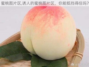 蜜桃图片区,诱人的蜜桃图片区，你能抵挡得住吗？