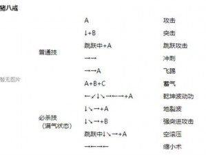 BASARA3宴会华丽出招表详解：角色技能全解析与实战指南