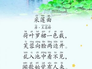 流淌心间的小荷塘之歌：一曲宁静与美好的交响诗