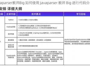 Javaparser教师Big 如何使用 Javaparser 教师 Big 进行代码分析？