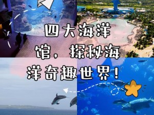 关于海洋奇游好玩吗及其简介的中心拟定为：探秘蓝海奥秘，海洋奇游体验记——您不容错过的海上游乐之旅