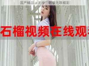 国产精品 a 无线，畅享无限精彩