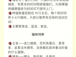 开心猫舍设备安装与配置手册：全方位解析流程详解