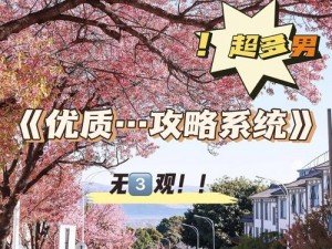 优质RB攻略系统沈芙-攻略优质 RB 系统，沈芙的秘密武器