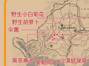 荒野大镖客2：草药大师挑战4攻略解析：深入掌握药草奥秘，打造技艺无双的草本王者之道