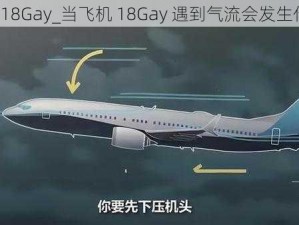 飞机18Gay_当飞机 18Gay 遇到气流会发生什么？