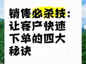 房产销售的秘密2;房产销售的秘密 2：如何让客户快速下单？