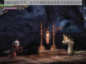 恶魔城暗影之王：全方位揭秘高效技能点快速刷法指南