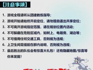 猫鼠大战：地下室堆使用指南——策略与技巧解析