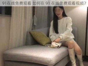 91在线免费观看 如何在 91 在线免费观看视频？