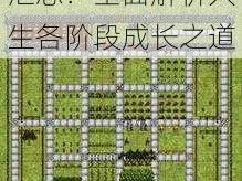 华夏人生各阶段发展历程与策略攻略汇总：全面解析人生各阶段成长之道