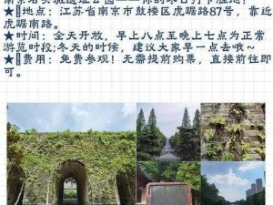 推石头先祖的神秘踪迹：寻觅传说中的古文明圣地