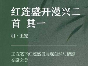 蔷薇红莲：盛开之美与坚韧之魂的交织画卷