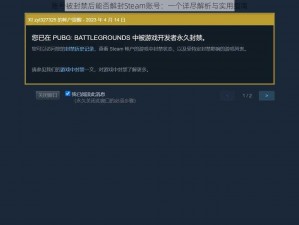 账号被封禁后能否解封Steam账号：一个详尽解析与实用指南