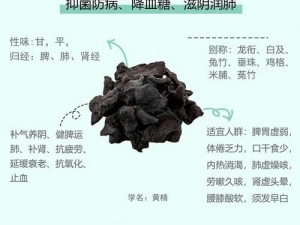 99国精产品…源码的优势 99 国精产品…源码的优势有哪些？