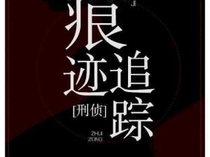 《疯狂梗传公司：十二处被盗痕迹追踪攻略》