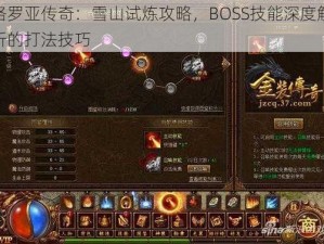 格罗亚传奇：雪山试炼攻略，BOSS技能深度解析的打法技巧