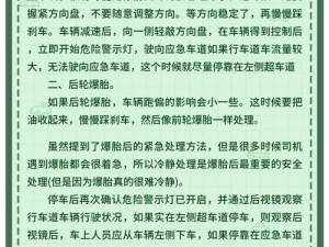 尘埃拉力赛爆胎预防策略详解：专业解析与实用攻略助你远离爆胎风险