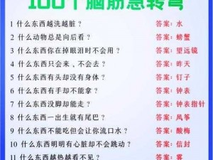 携记忆过桥游戏谜题揭晓：全面解析助您轻松通关