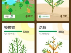 蚂蚁森林沙棘种植区域揭秘：生长环境解析与生态价值探讨