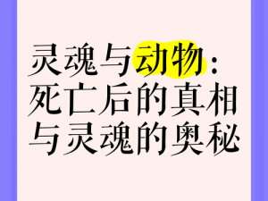 死魂虫：探索神秘生物的奥秘与真相探索之路