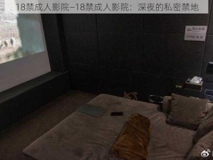 18禁成人影院—18禁成人影院：深夜的私密禁地