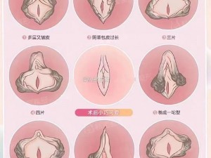 12—14女开嫩苞_12—14 岁少女的私密成长：探索嫩苞的世界