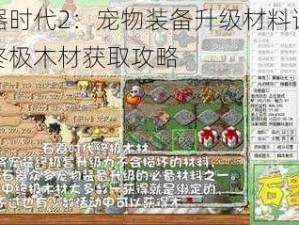 石器时代2：宠物装备升级材料详解与终极木材获取攻略