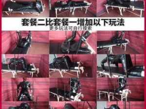 专业 BDSM 受虐狂折磨调教工具包