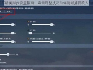 和平精英脚步设置指南：声音调整技巧助你清晰捕捉敌人动向