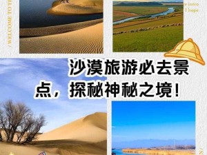 以无尽旅途沙漠攻略为核心的探索之旅——行走沙海秘境之策