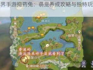 完美世界手游捣药兔：萌宠养成攻略与独特玩法体验揭秘