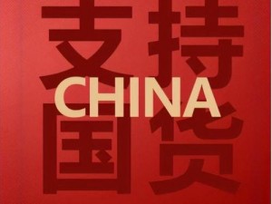 精品国产,探索精品国产，感受国货魅力