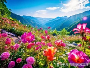 明媚阳光洒满山岗，花儿绽放颂歌自然之韵