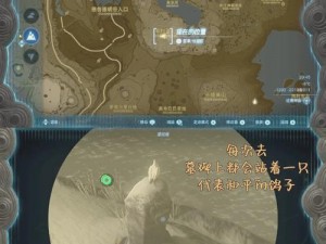 王国之泪秘密揭秘：探索无限血量的Bug攻略新篇章