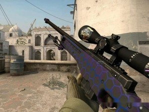 日本csgo大姐姐awp、日本 csgo 大姐姐用 AWP 是怎样的体验？