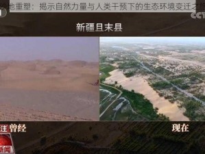 沙地重塑：揭示自然力量与人类干预下的生态环境变迁之旅