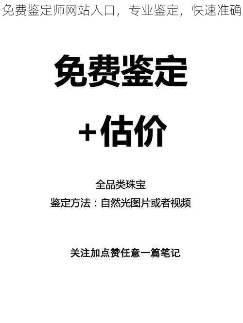 免费鉴定师网站入口，专业鉴定，快速准确