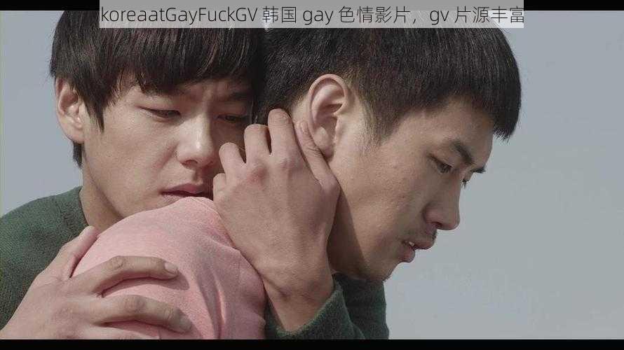 koreaatGayFuckGV 韩国 gay 色情影片，gv 片源丰富