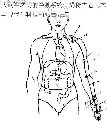 大武当之剑的经脉系统：揭秘古老武术与现代化科技的融合之道