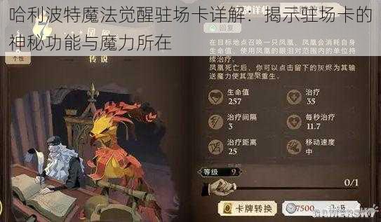 哈利波特魔法觉醒驻场卡详解：揭示驻场卡的神秘功能与魔力所在