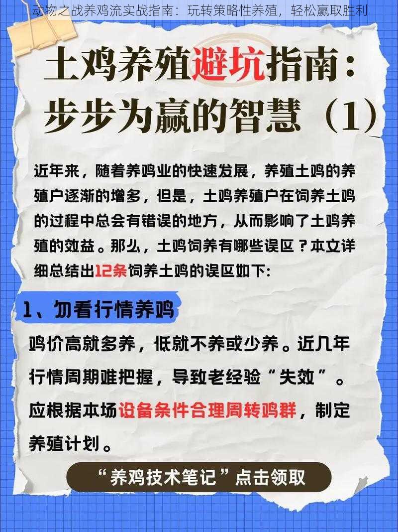 动物之战养鸡流实战指南：玩转策略性养殖，轻松赢取胜利