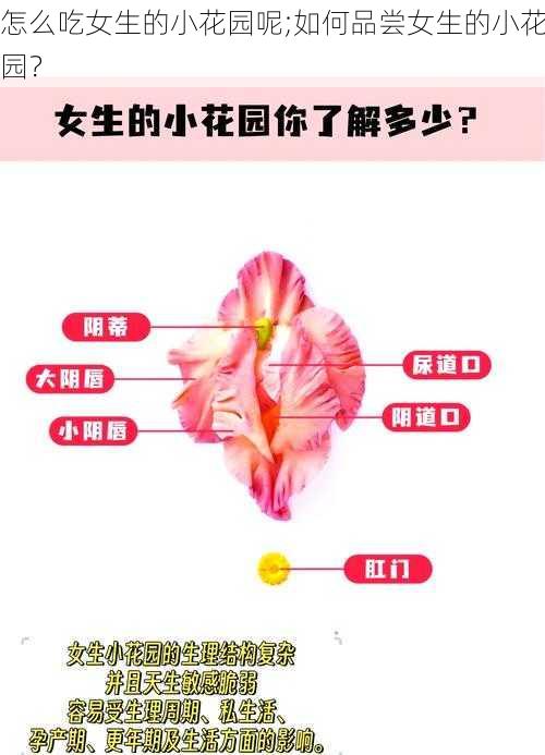 怎么吃女生的小花园呢;如何品尝女生的小花园？