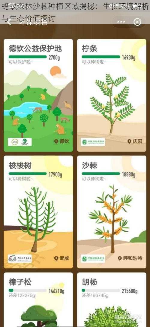 蚂蚁森林沙棘种植区域揭秘：生长环境解析与生态价值探讨