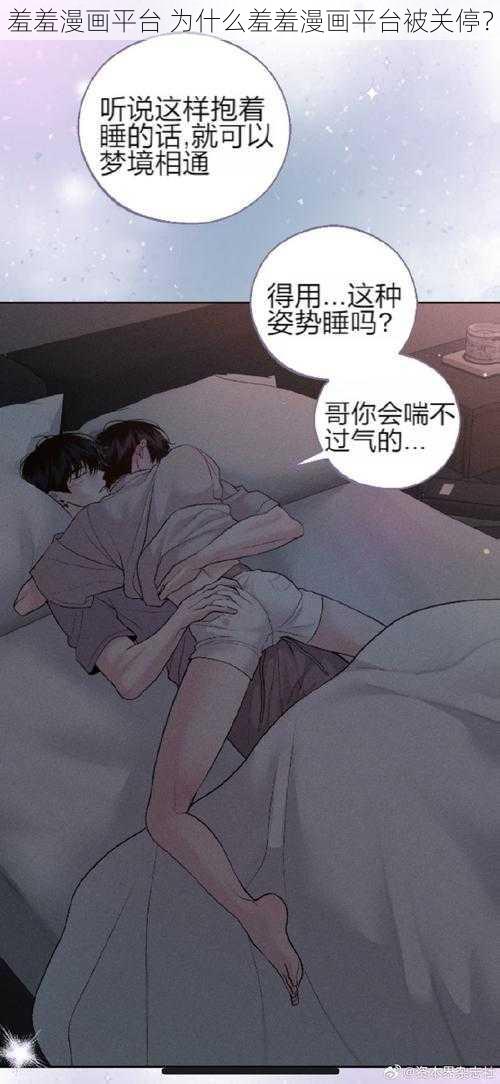 羞羞漫画平台 为什么羞羞漫画平台被关停？