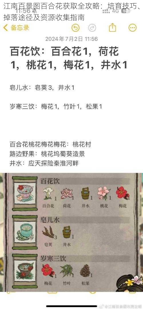 江南百景图百合花获取全攻略：培育技巧、掉落途径及资源收集指南