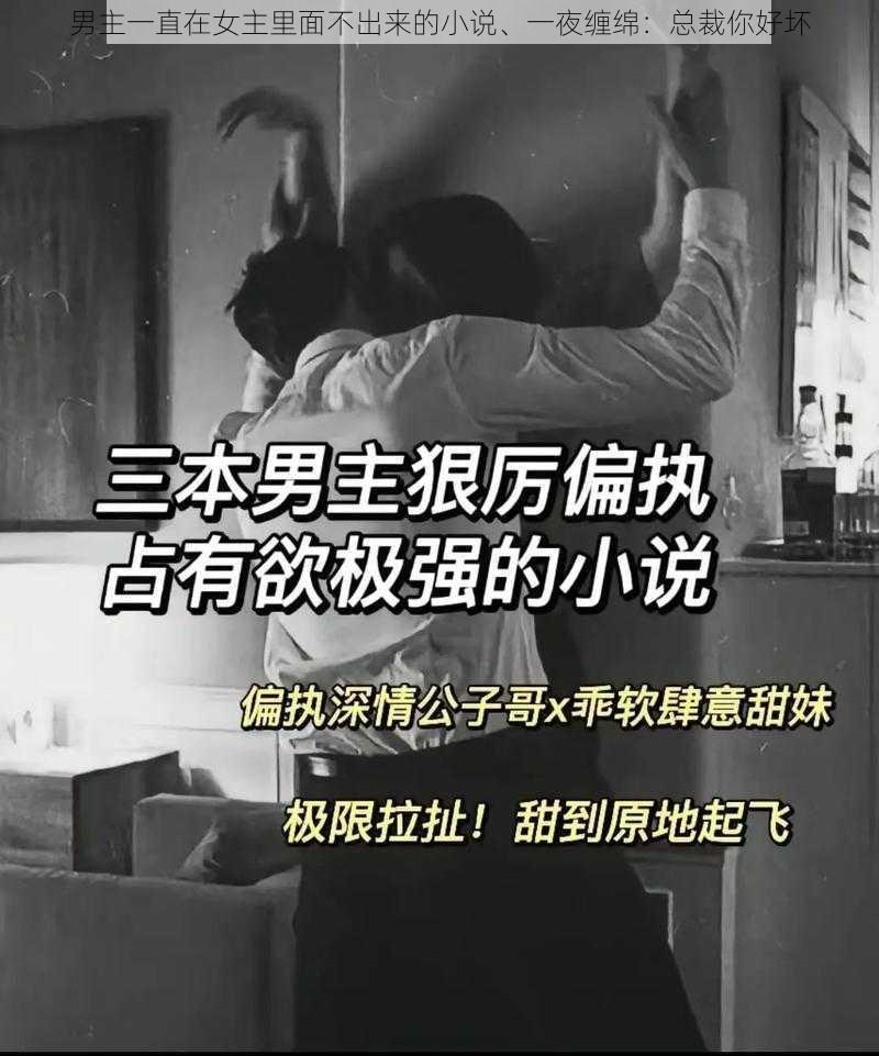 男主一直在女主里面不出来的小说、一夜缠绵：总裁你好坏