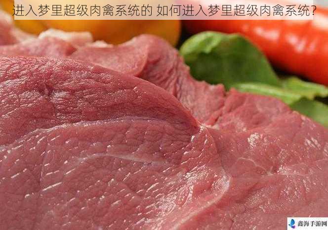 进入梦里超级肉禽系统的 如何进入梦里超级肉禽系统？