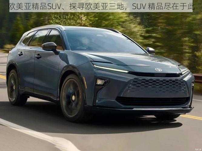 欧美亚精品SUV、探寻欧美亚三地，SUV 精品尽在于此